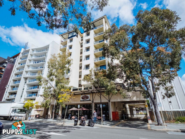 20/273 Hay Street EAST PERTH WA 6004