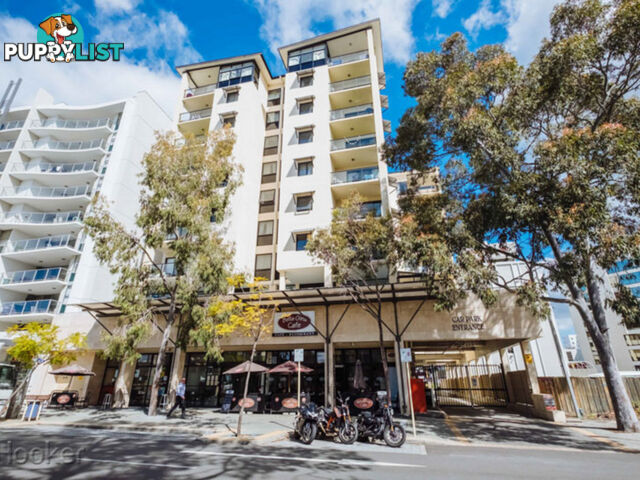 20/273 Hay Street EAST PERTH WA 6004