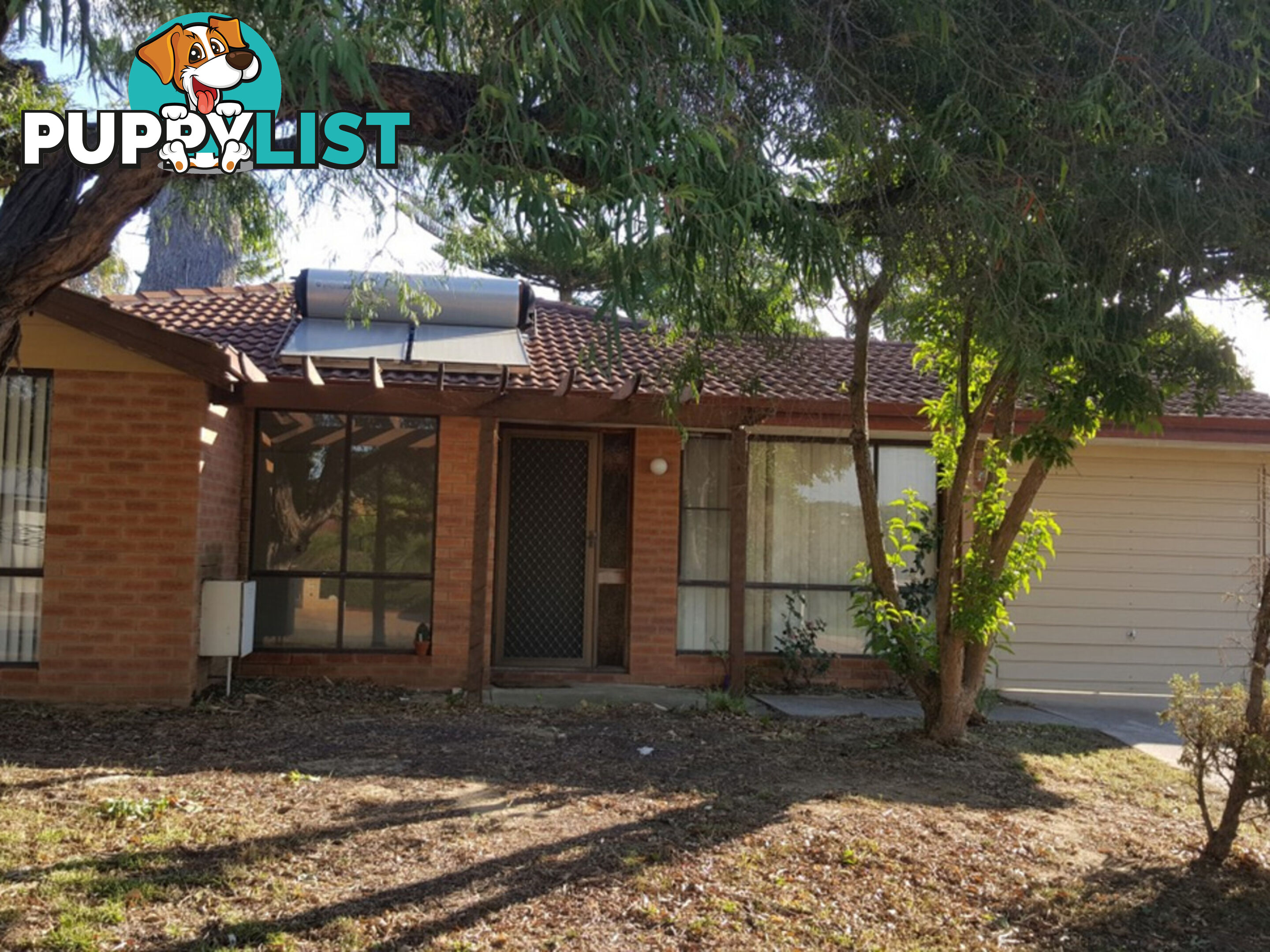 43 Amy Loop CRAIGIE WA 6025