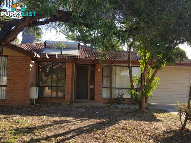 43 Amy Loop CRAIGIE WA 6025