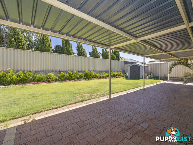 35 Bodorgan Avenue BUTLER WA 6036