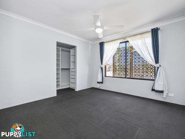 35 Bodorgan Avenue BUTLER WA 6036