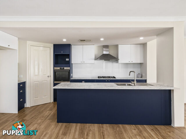 35 Bodorgan Avenue BUTLER WA 6036