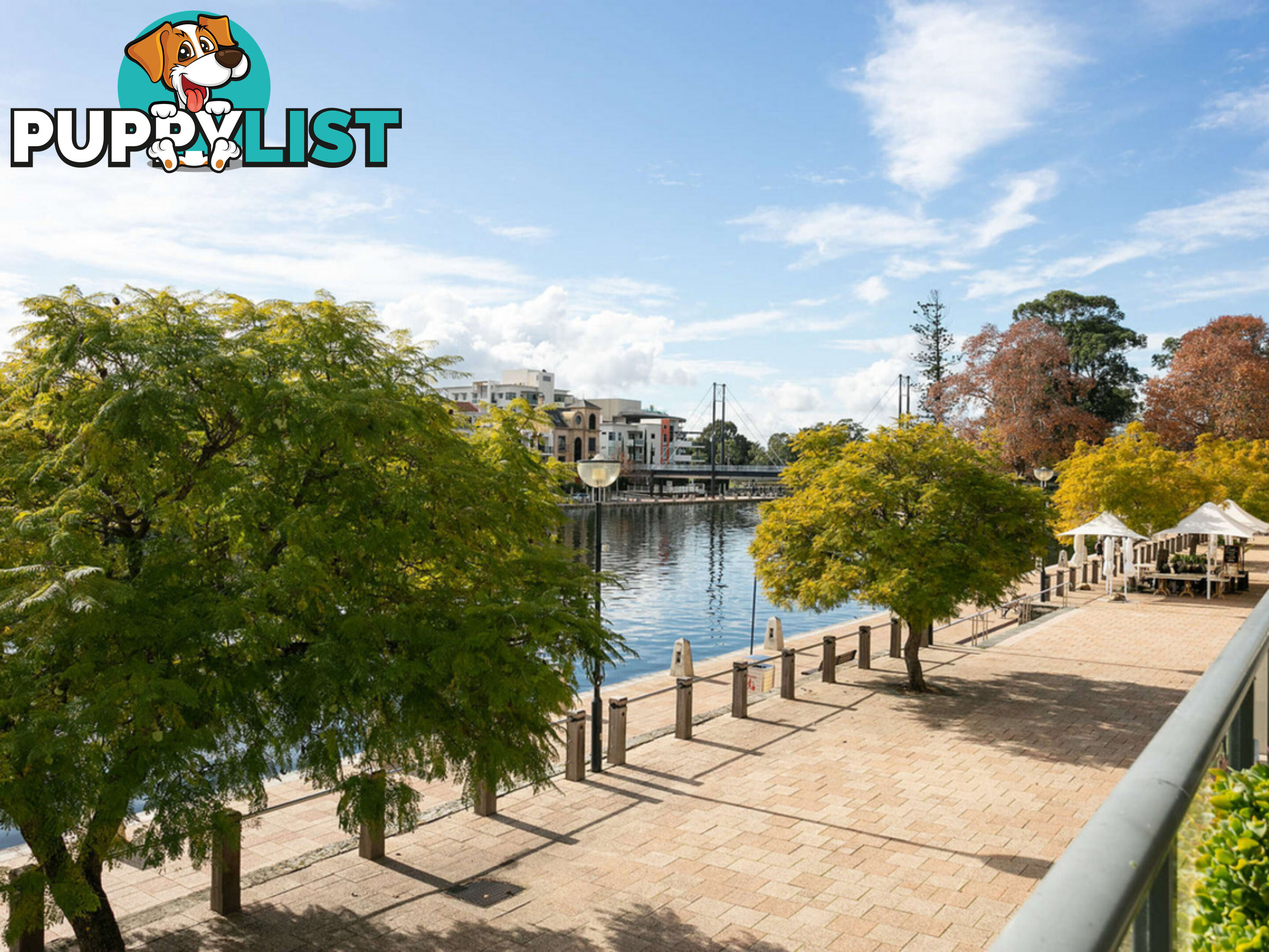 2/50 Royal Street EAST PERTH WA 6004