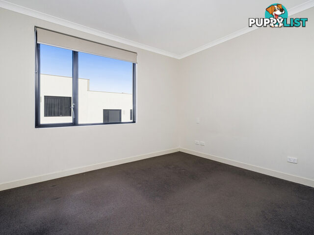 81/3 Sheen Street SUBIACO WA 6008