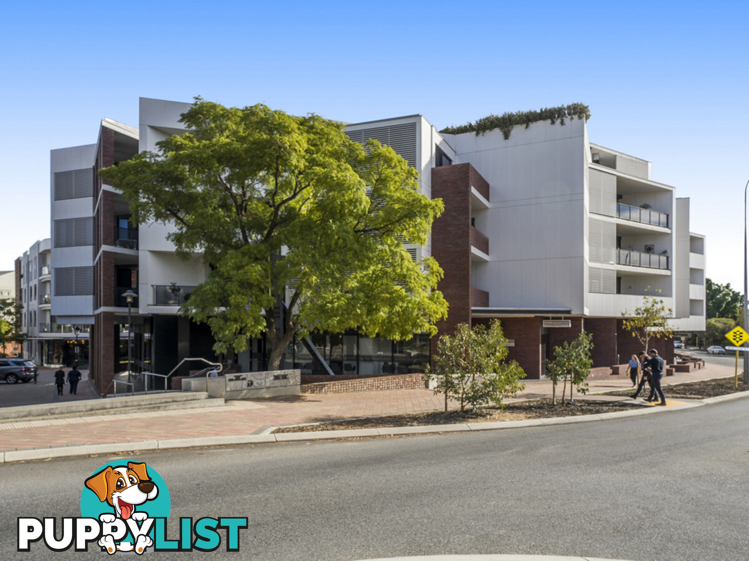 81/3 Sheen Street SUBIACO WA 6008