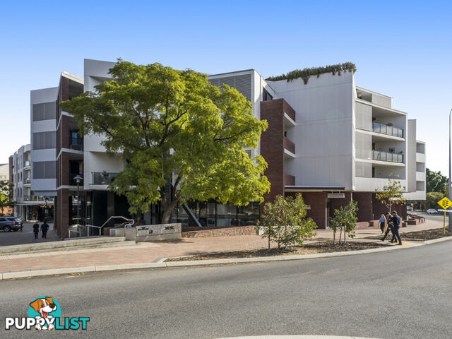 81/3 Sheen Street SUBIACO WA 6008