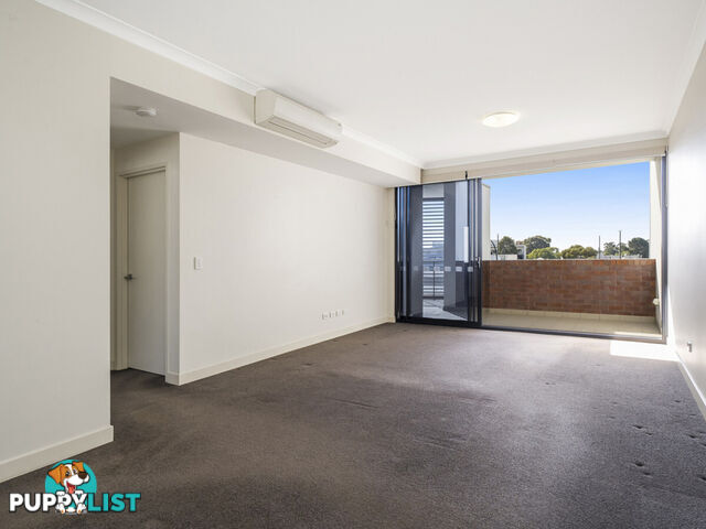 81/3 Sheen Street SUBIACO WA 6008