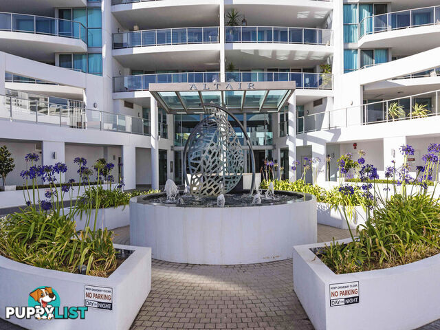 43/132 Terrace Road PERTH WA 6000