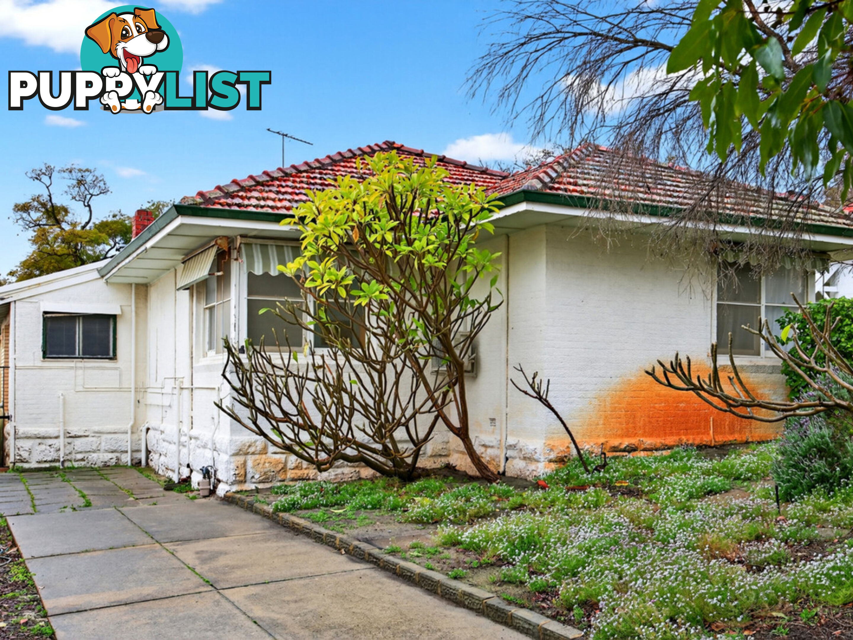 12 Hotham Street BAYSWATER WA 6053