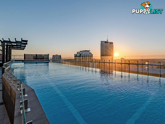 2718/380 Murray Street PERTH WA 6000