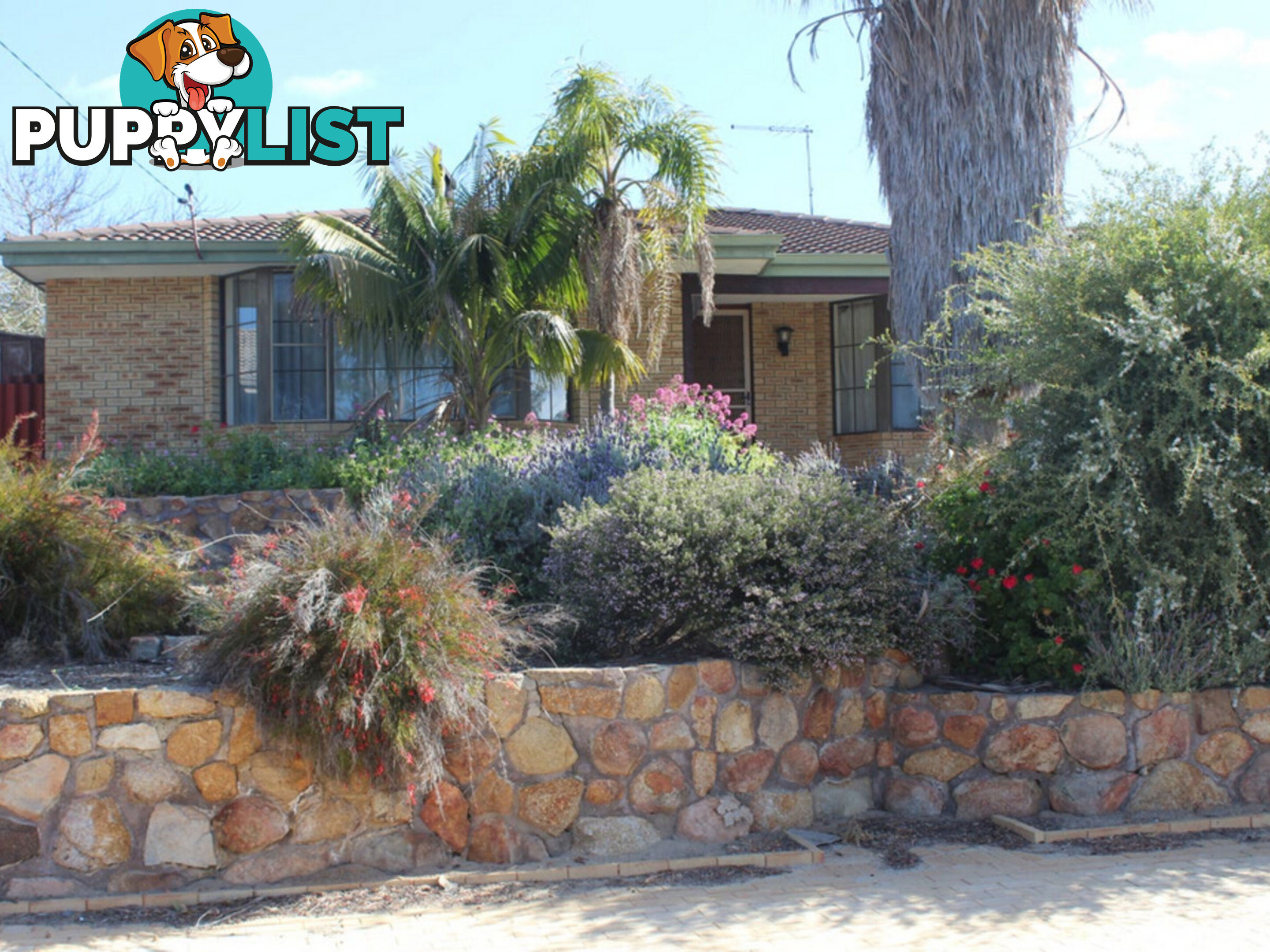 15 Culwalla Street KALLAROO WA 6025