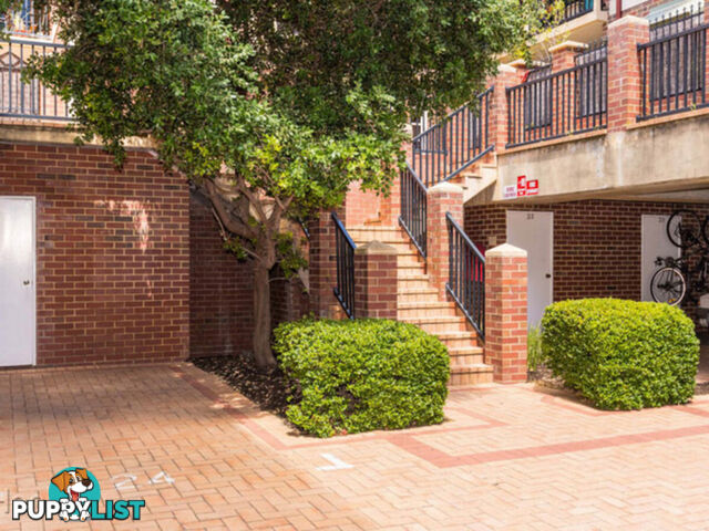 12/49-53 Bronte Street EAST PERTH WA 6004