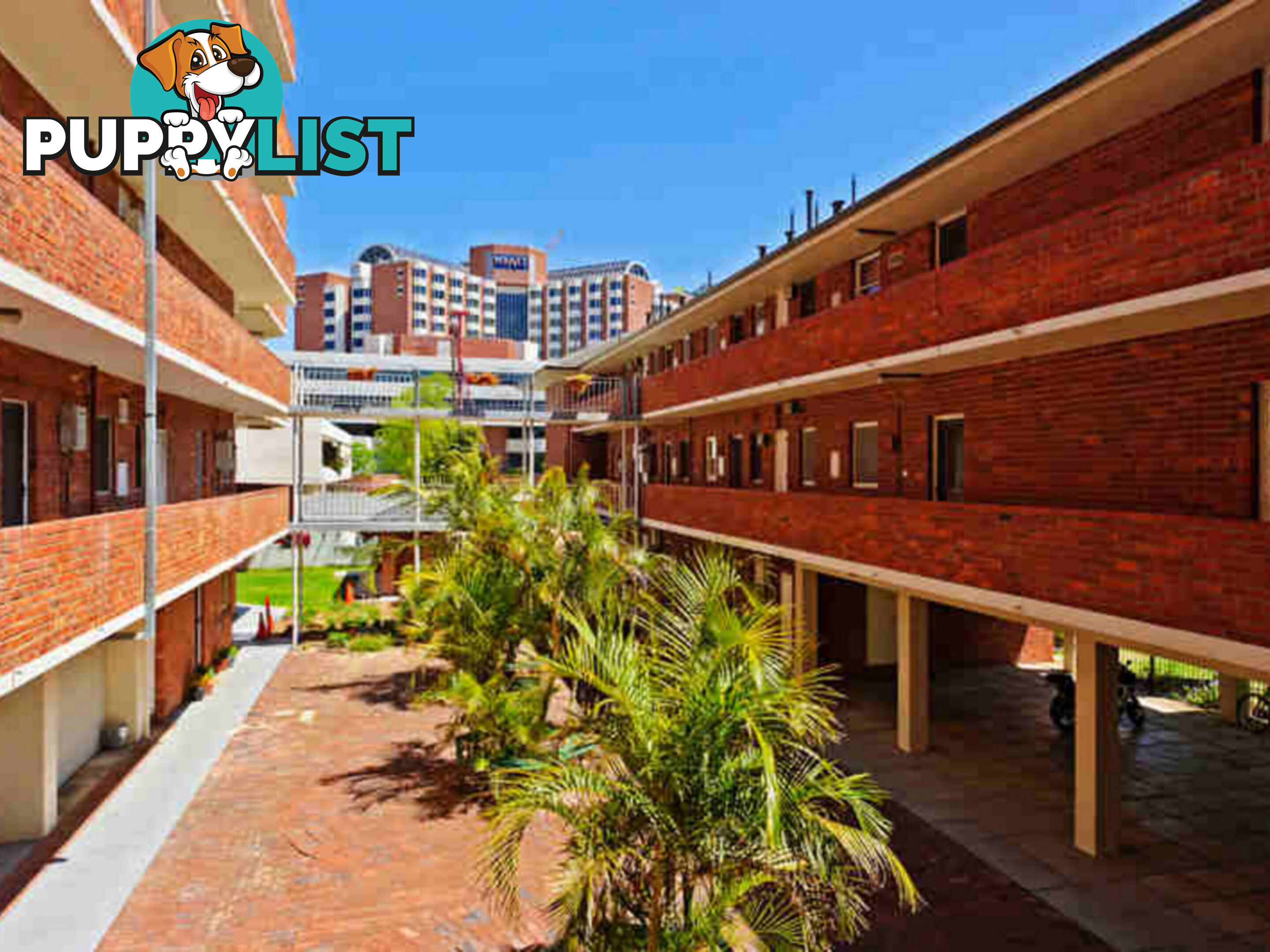 505/45 Adelaide Terrace EAST PERTH WA 6004