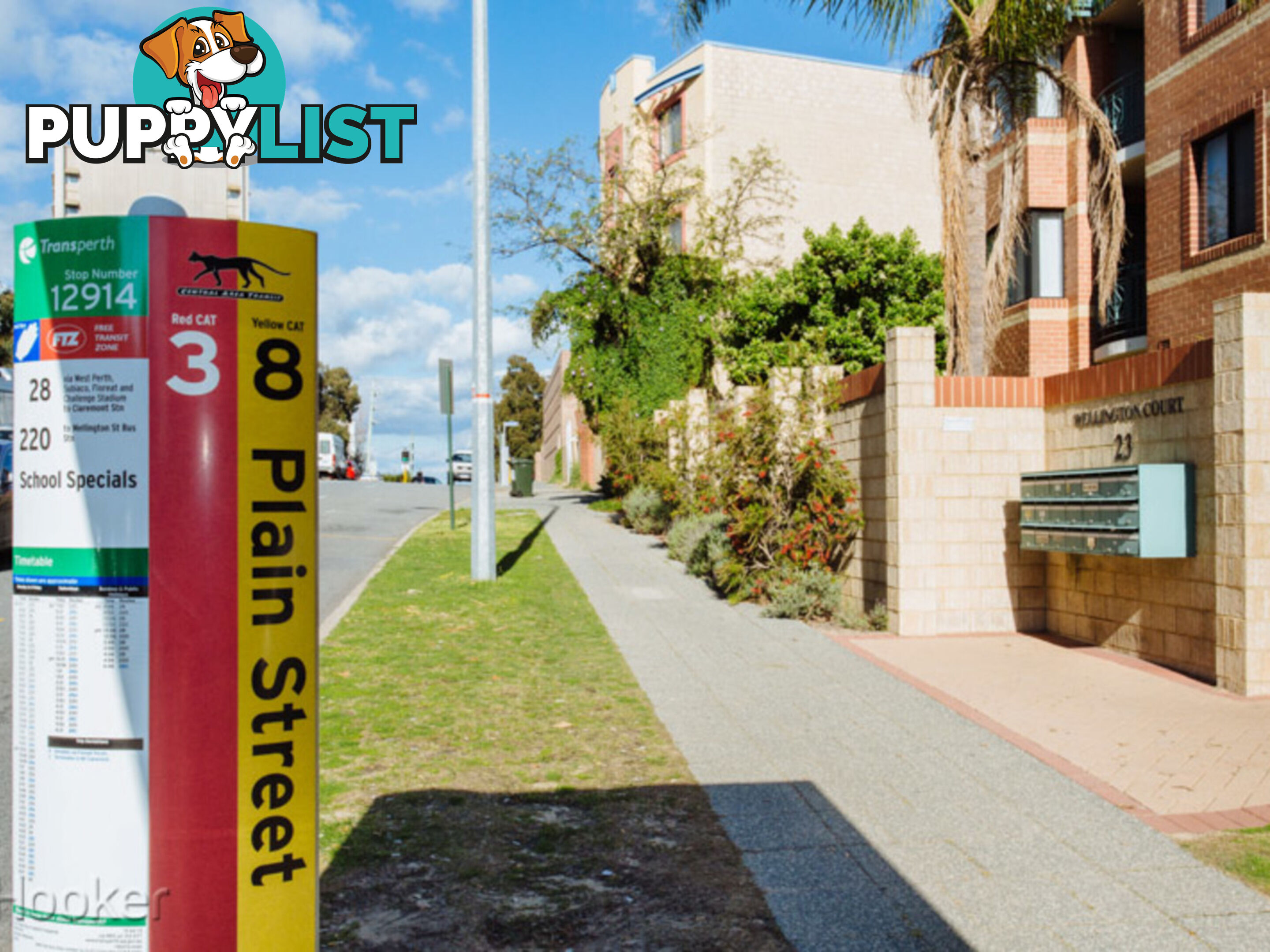 7/55 Wellington Street EAST PERTH WA 6004