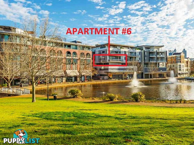 6/22 Eastbrook Terrace EAST PERTH WA 6004