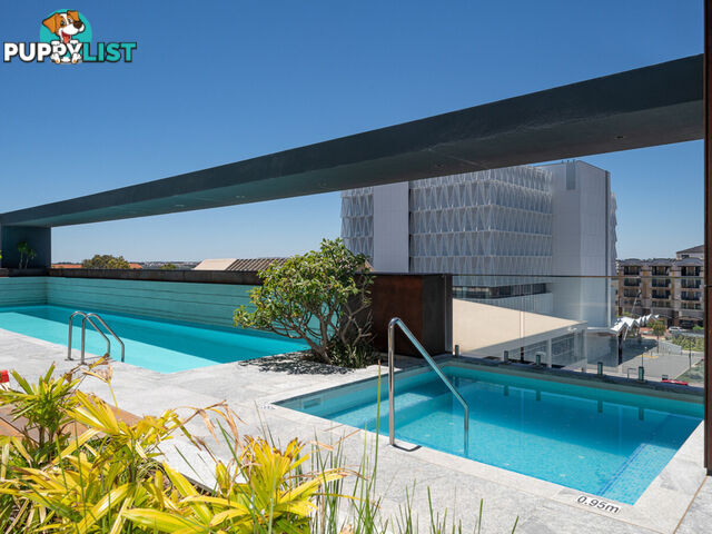 604/113 Grand Boulevard JOONDALUP WA 6027