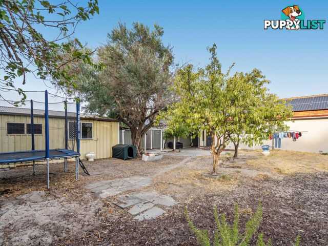 18 Hartfield Street QUEENS PARK WA 6107