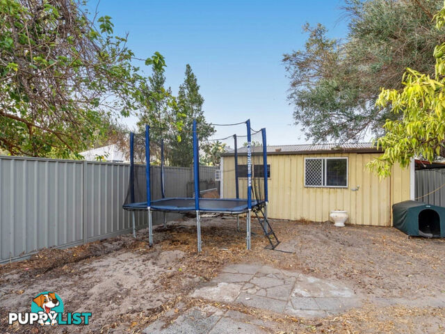 18 Hartfield Street QUEENS PARK WA 6107