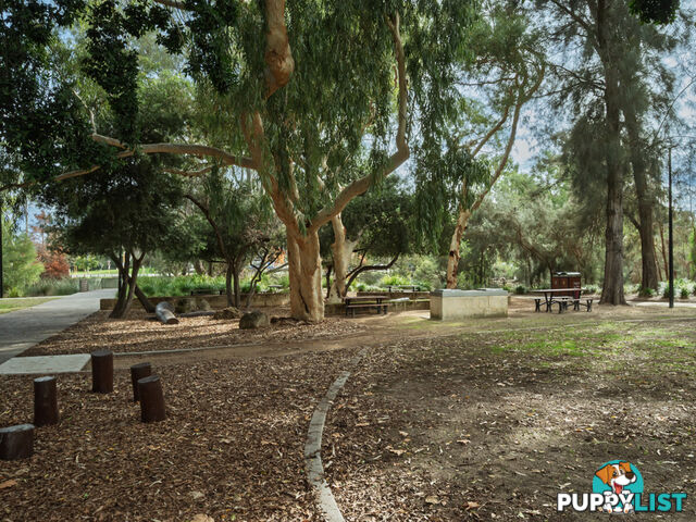 37/153-157 Burswood Road BURSWOOD WA 6100
