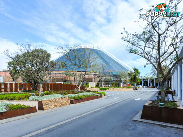 37/153-157 Burswood Road BURSWOOD WA 6100