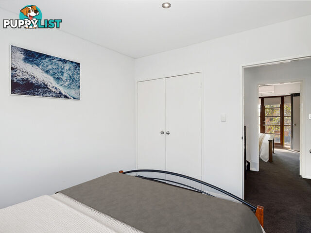 19C Wittenoom Street EAST PERTH WA 6004