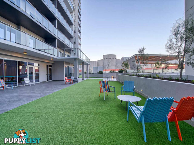 1703/63 Adelaide Terrace EAST PERTH WA 6004