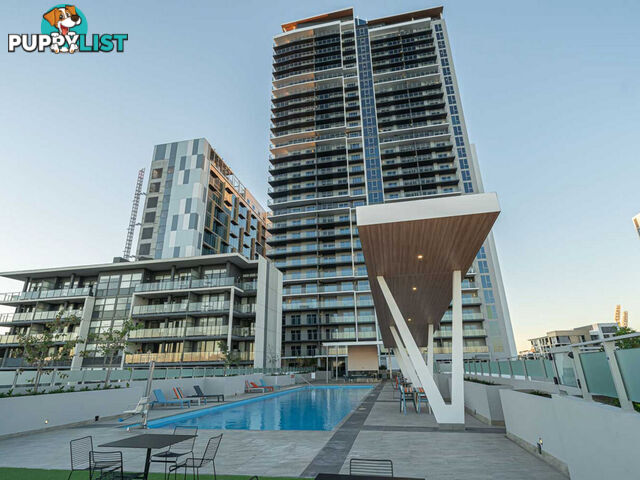 2005/63 Adelaide Terrace EAST PERTH WA 6004