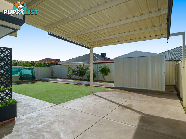 16 Magnesia Road WATTLE GROVE WA 6107