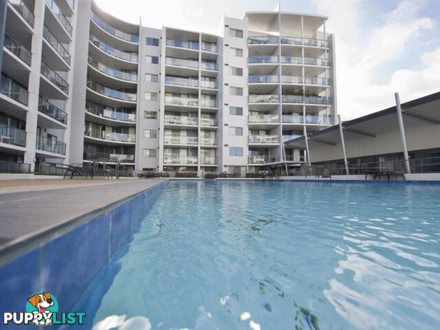 45/131 Adelaide Terrace EAST PERTH WA 6004