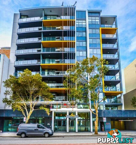 108/311 Hay Street EAST PERTH WA 6004