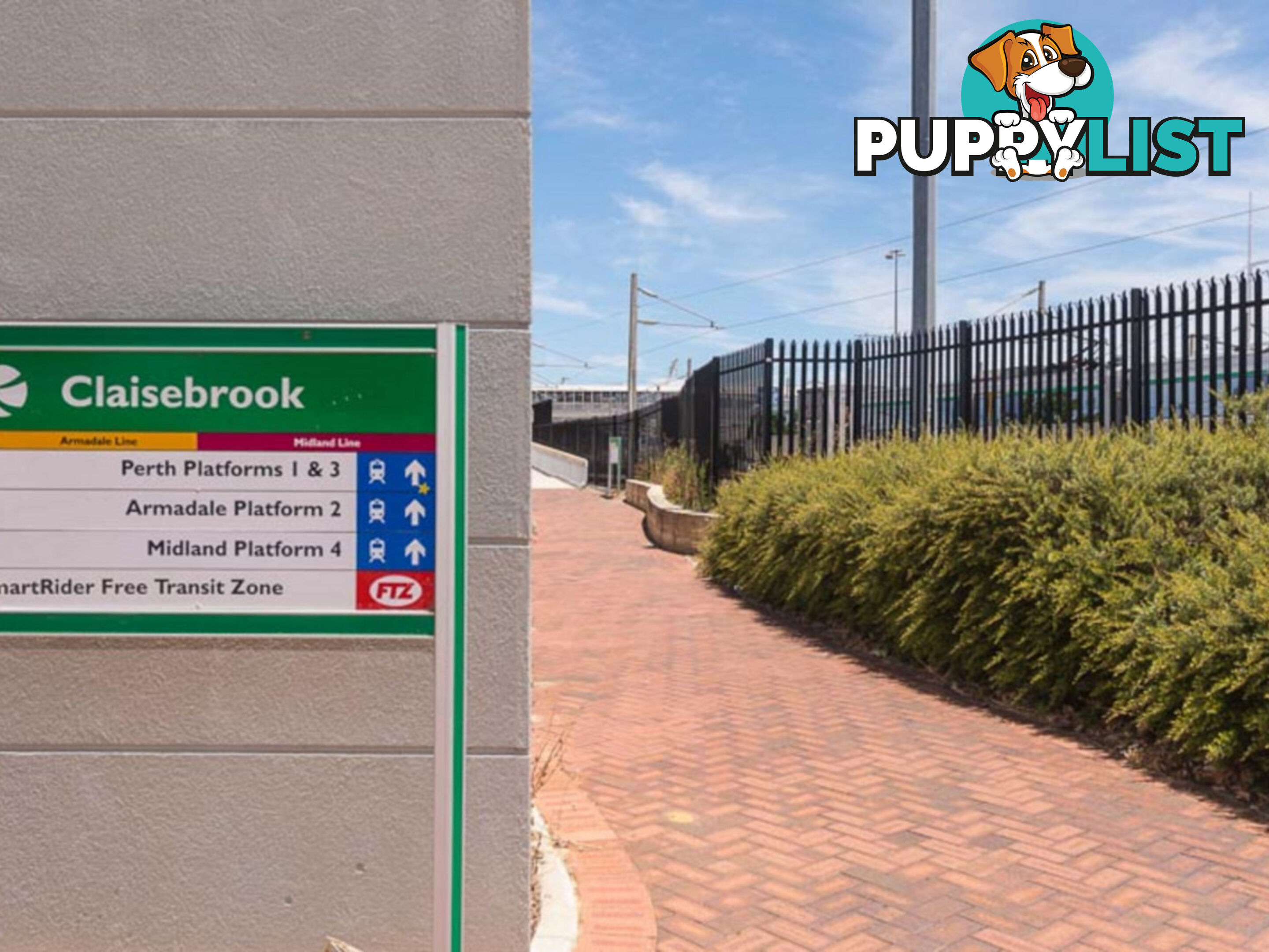 8/20 Saunders Street EAST PERTH WA 6004