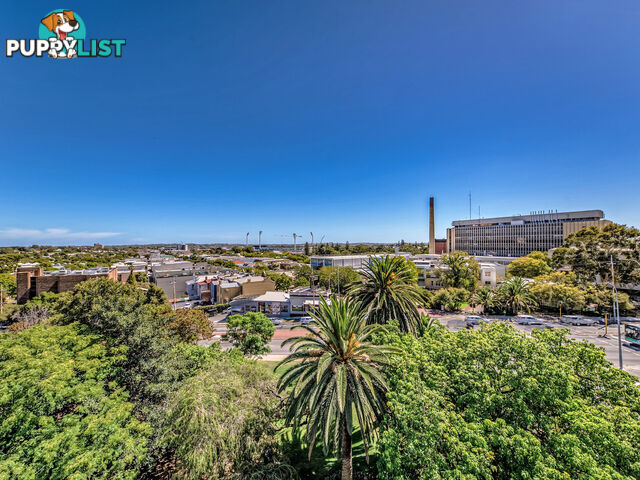 19/1331 Hay Street WEST PERTH WA 6005