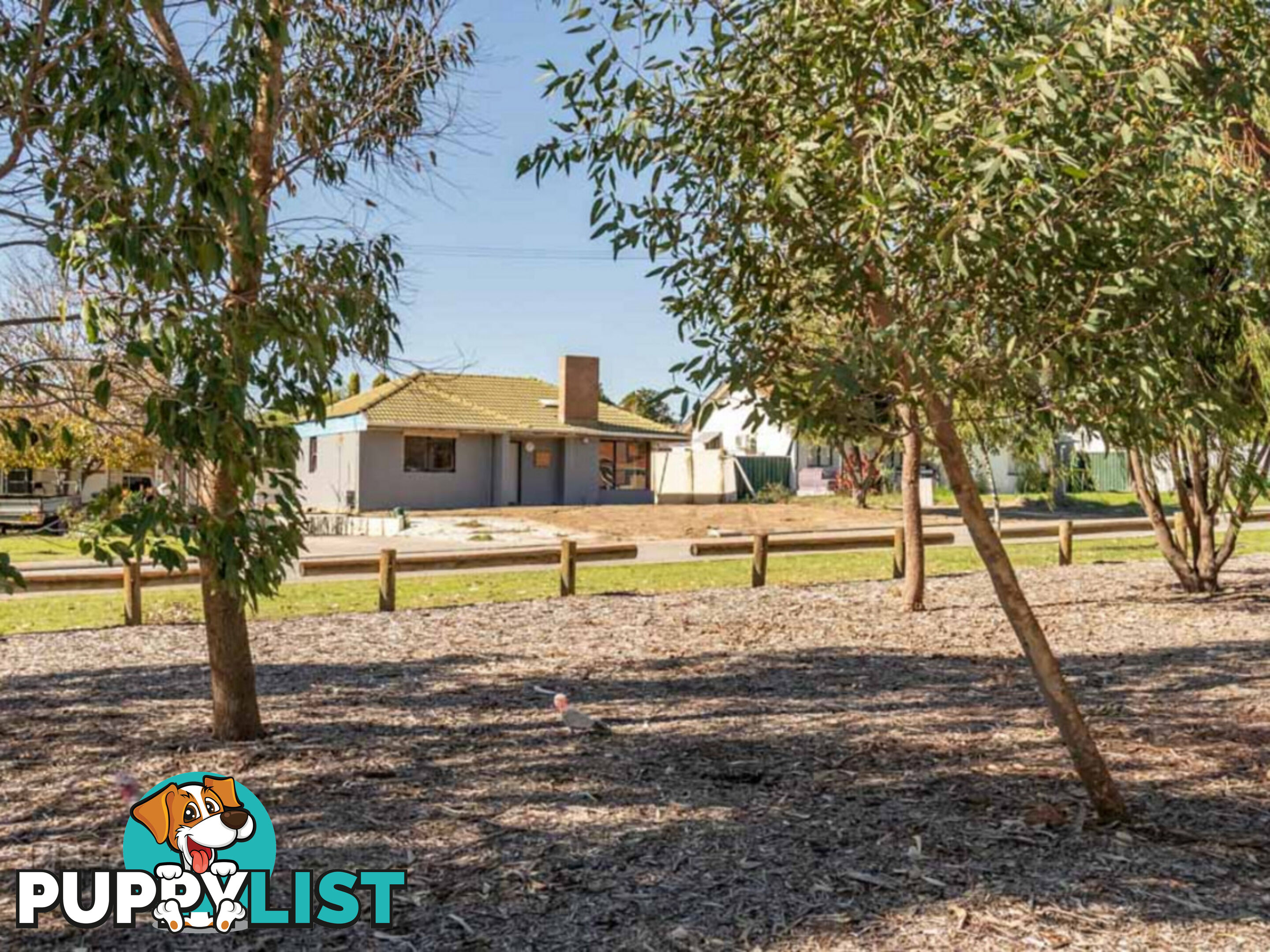 12 Newick Street BALGA WA 6061