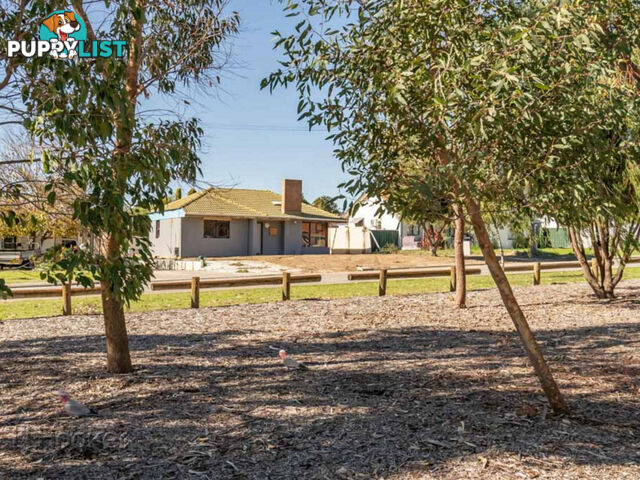 12 Newick Street BALGA WA 6061