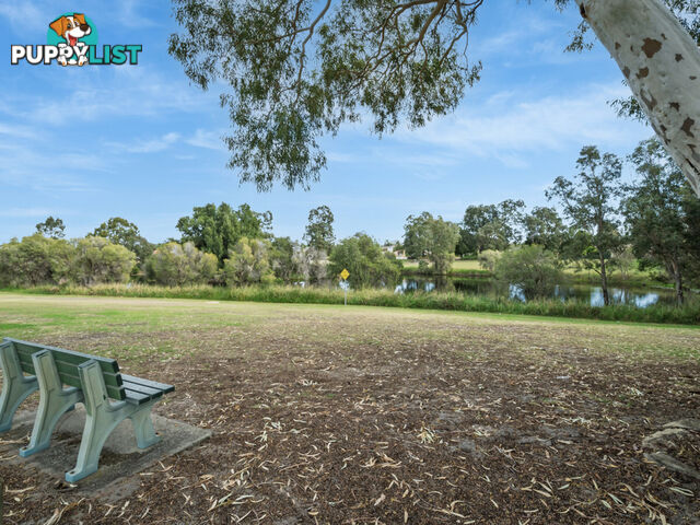 62 Sacramento Avenue BEECHBORO WA 6063