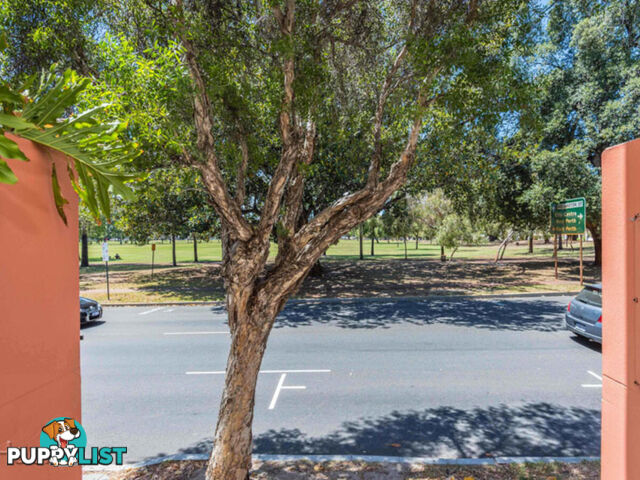 17/121 Hill Street EAST PERTH WA 6004