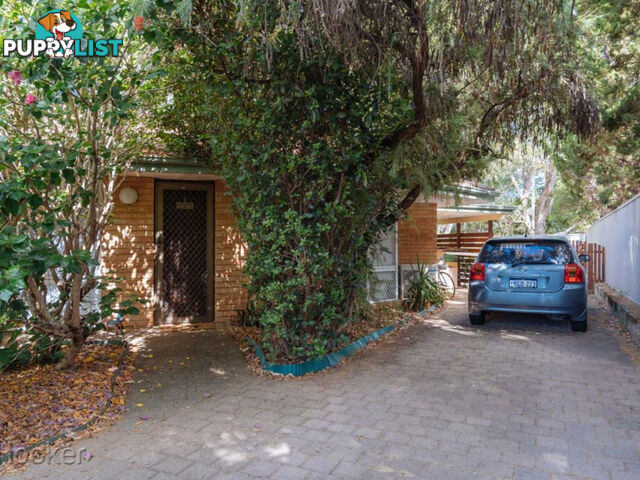 19/8 Newton Street BAYSWATER WA 6053