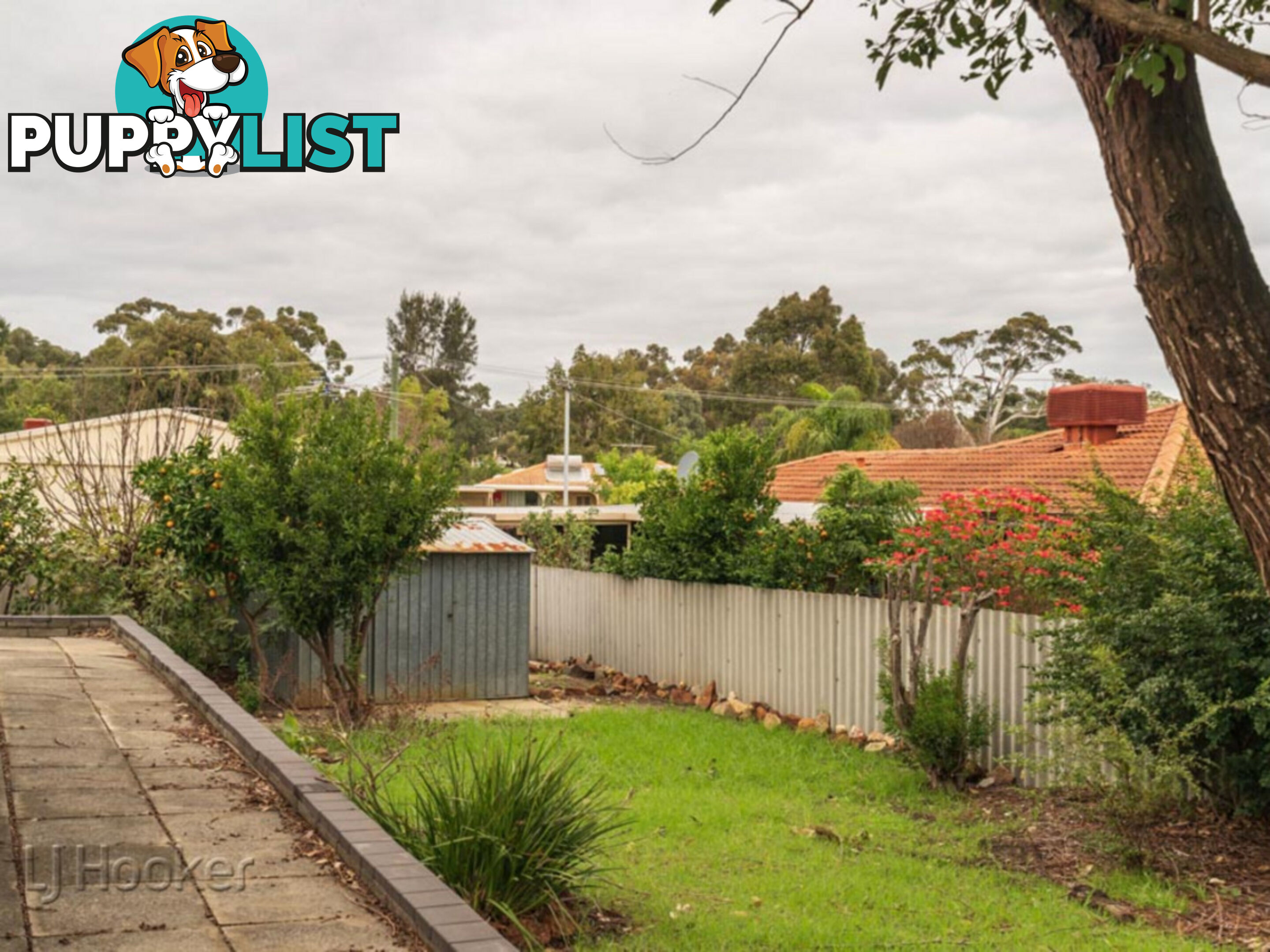 4 Westminster Court ARMADALE WA 6112