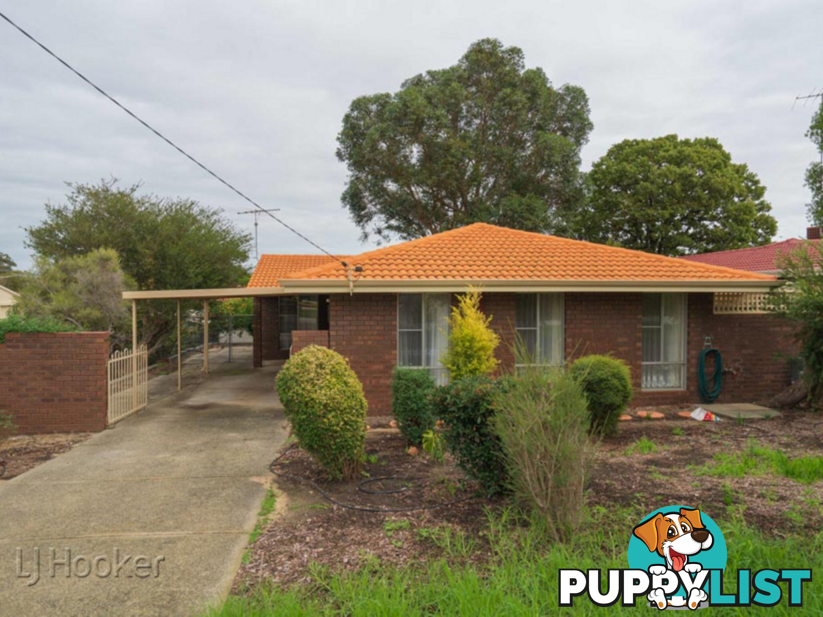 4 Westminster Court ARMADALE WA 6112