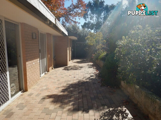 3/117 Keymer Street BELMONT WA 6104