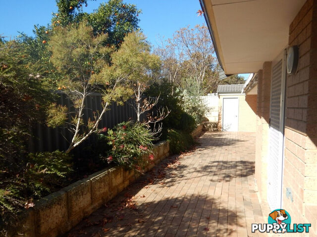 3/117 Keymer Street BELMONT WA 6104