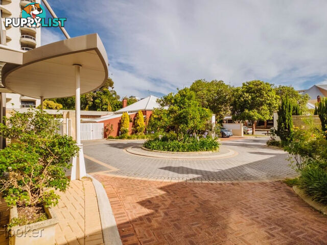 18/52-56 Goderich Street EAST PERTH WA 6004