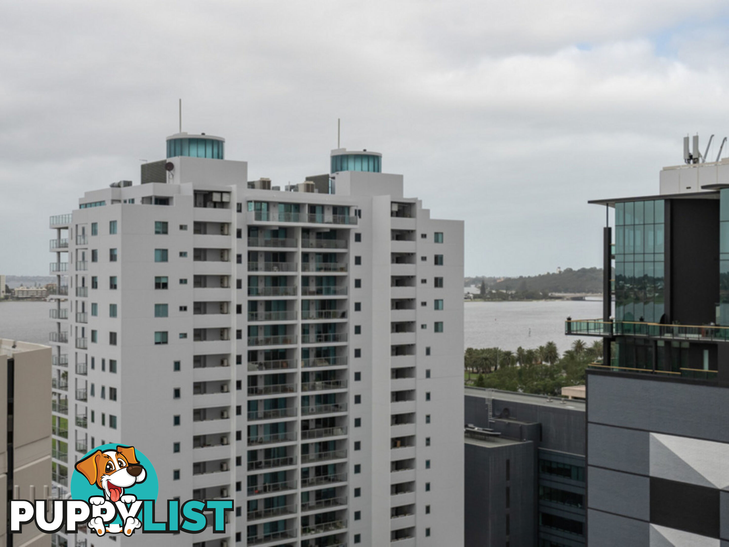 906/237 Adelaide Terrace PERTH WA 6000