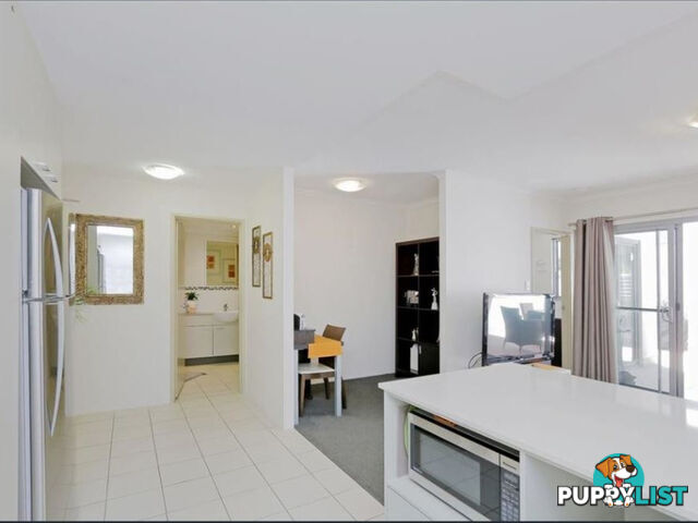 5/154 Newcastle Street PERTH WA 6000