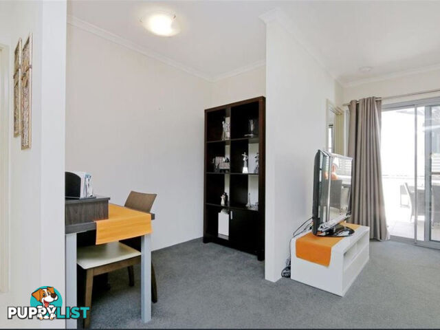 5/154 Newcastle Street PERTH WA 6000