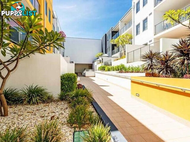 5/154 Newcastle Street PERTH WA 6000