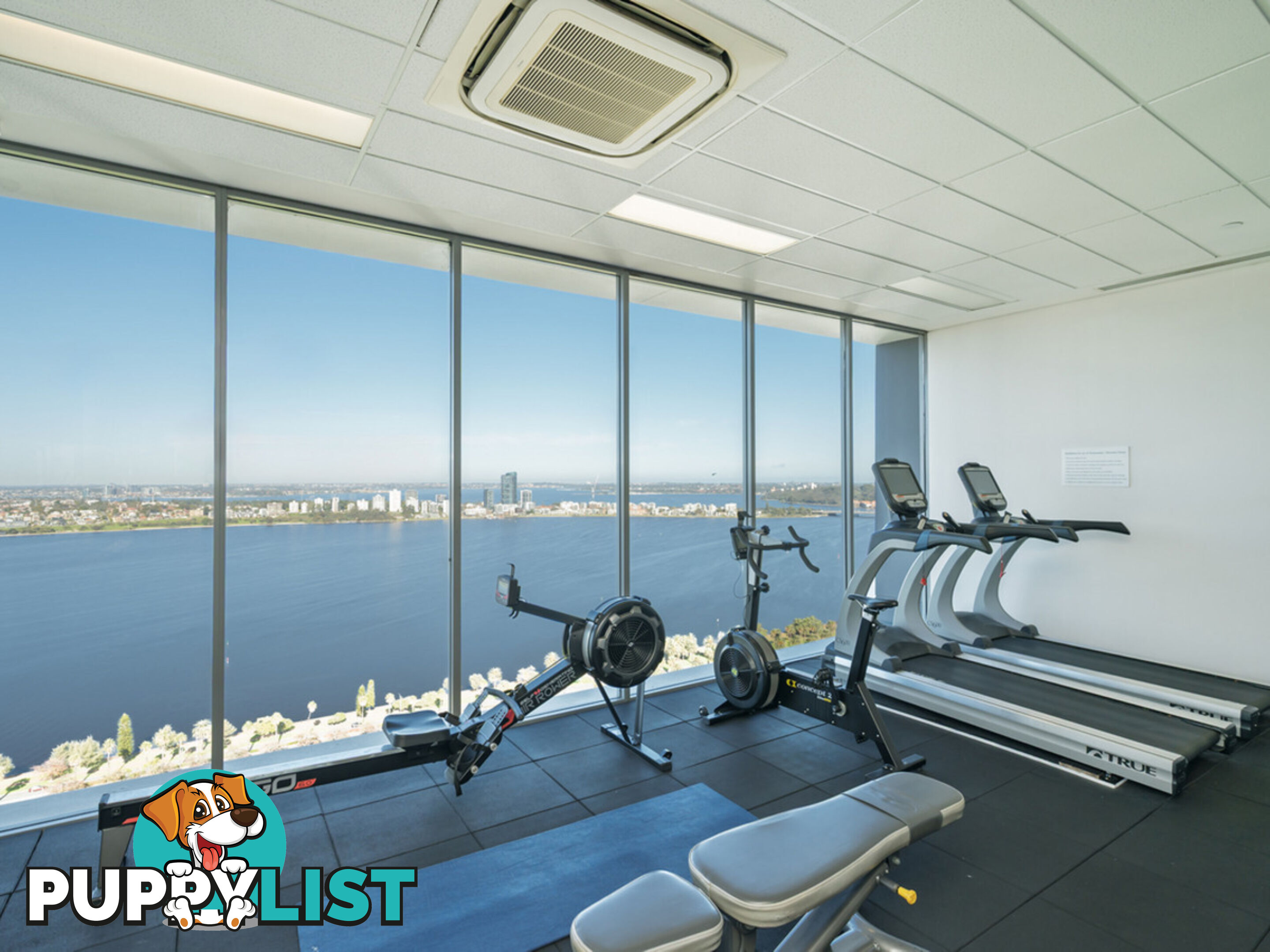 1004/237 Adelaide Terrace PERTH WA 6000