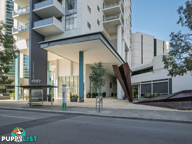 1004/237 Adelaide Terrace PERTH WA 6000