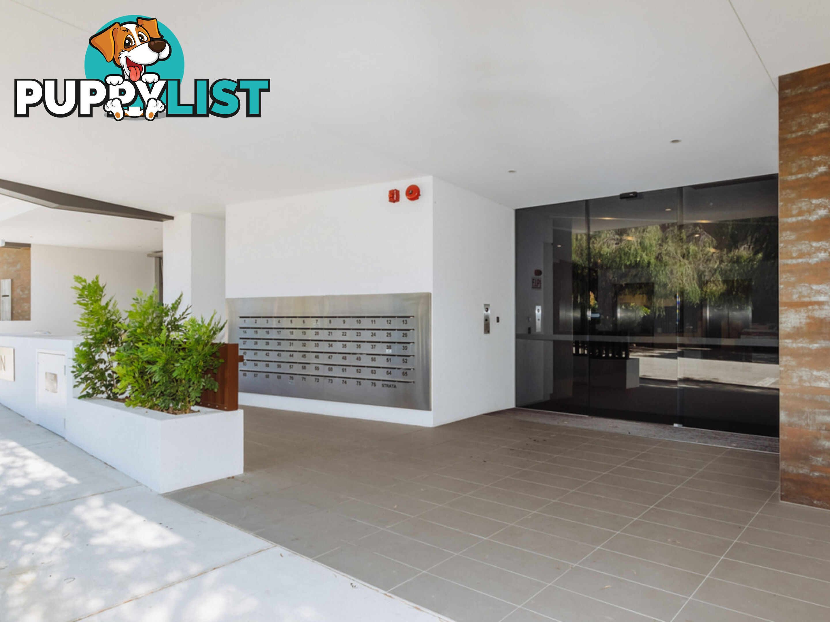 22/43 Wickham Street EAST PERTH WA 6004